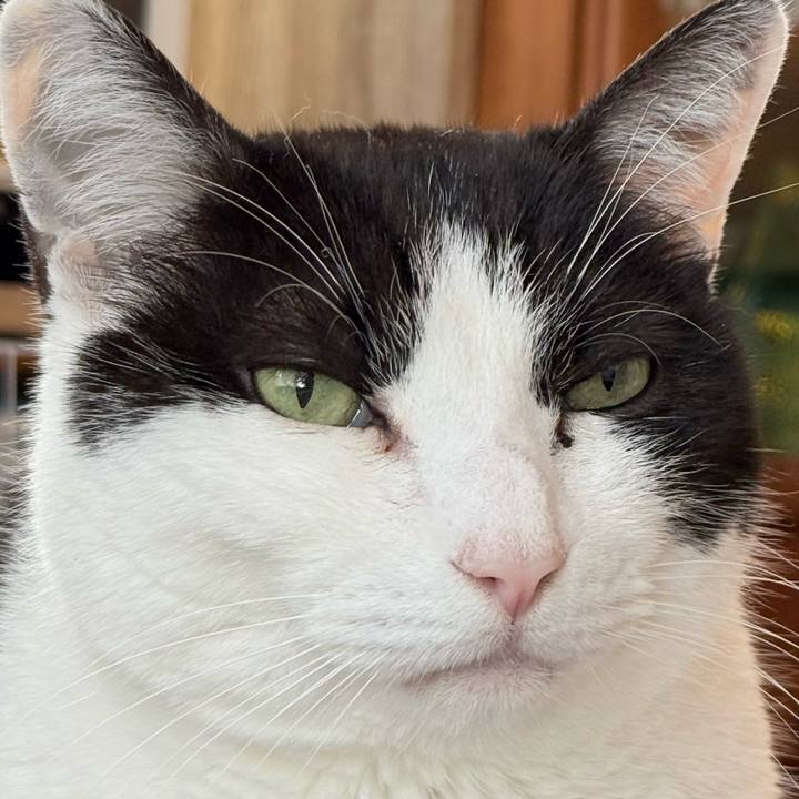 F501ef14 0bea 4a46 9c66 dc832f2ecf7d 1773451158064