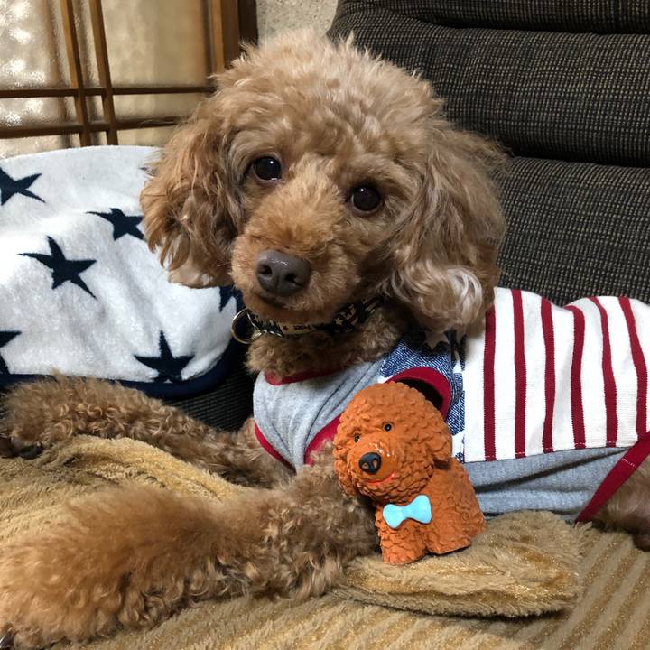 F5022225 9f8a 4279 9093 4646b567c26e 1614573997030