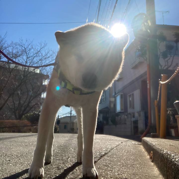 F50256f1 cdf0 40d1 81a5 668d3da7a8a3 1610155105179