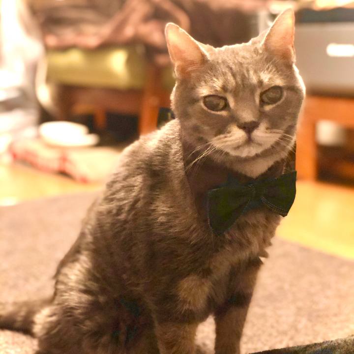 F5027184 6606 4c8c a236 070659a1fc63 1571931298114