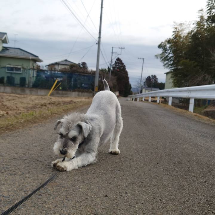 F50277c8 cda1 405c 905c b233f31cabbd 1767776646723