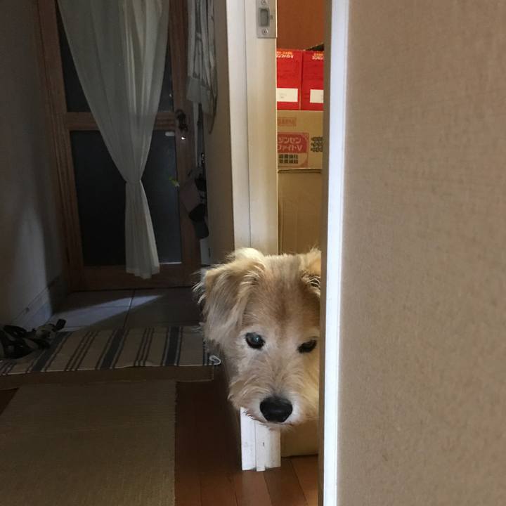 F502821d c7bd 43df 8859 a3ed009a9623 1595770370460