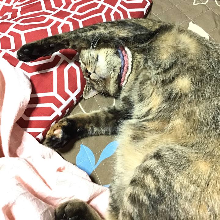 F5029614 33e9 46d2 a9b1 47d1d3d31773 1618560120845