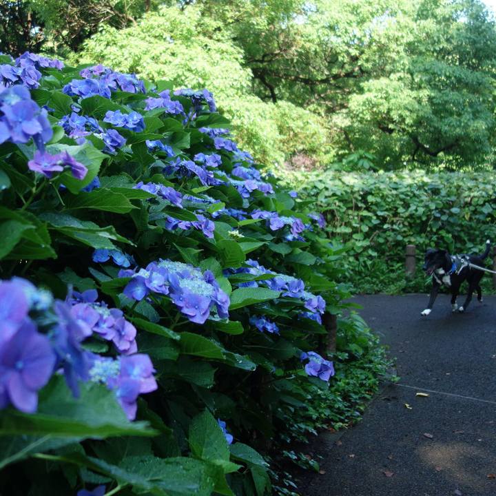 F502dfc5 203e 4707 aff9 86623b0e5a47 1655600847857