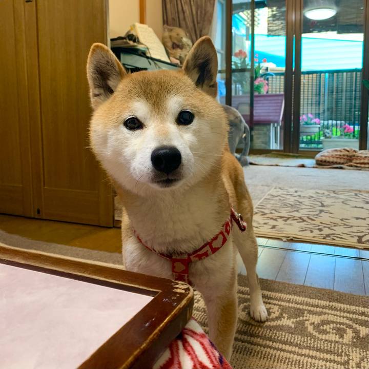 F503083d 07d2 46f4 8f33 7ae7d660a437 1620385659742