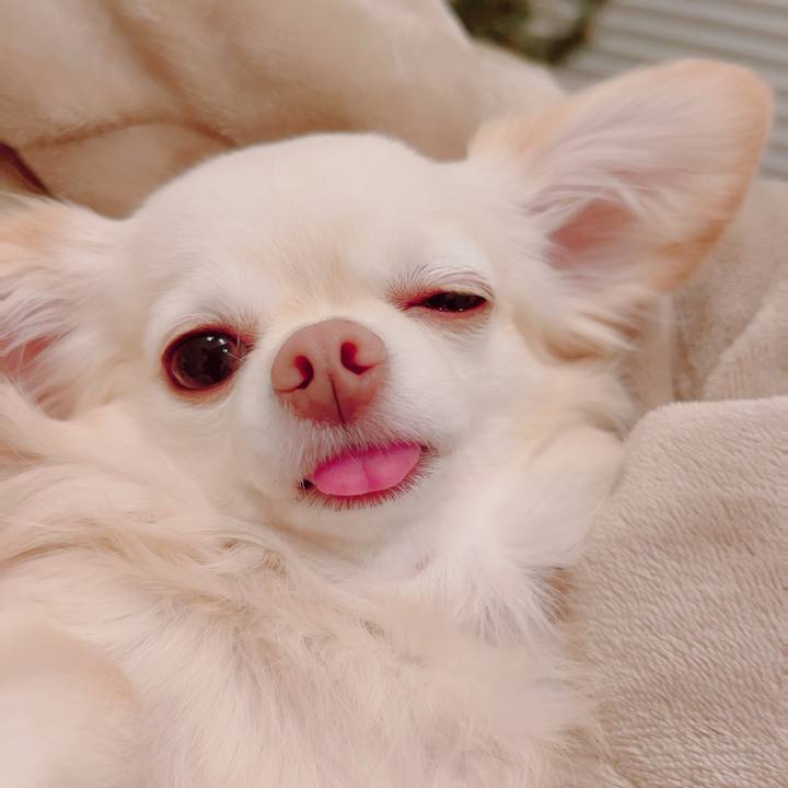 F5031dd0 a8a5 49ed b7e4 02b63e656e2f 1702561080871