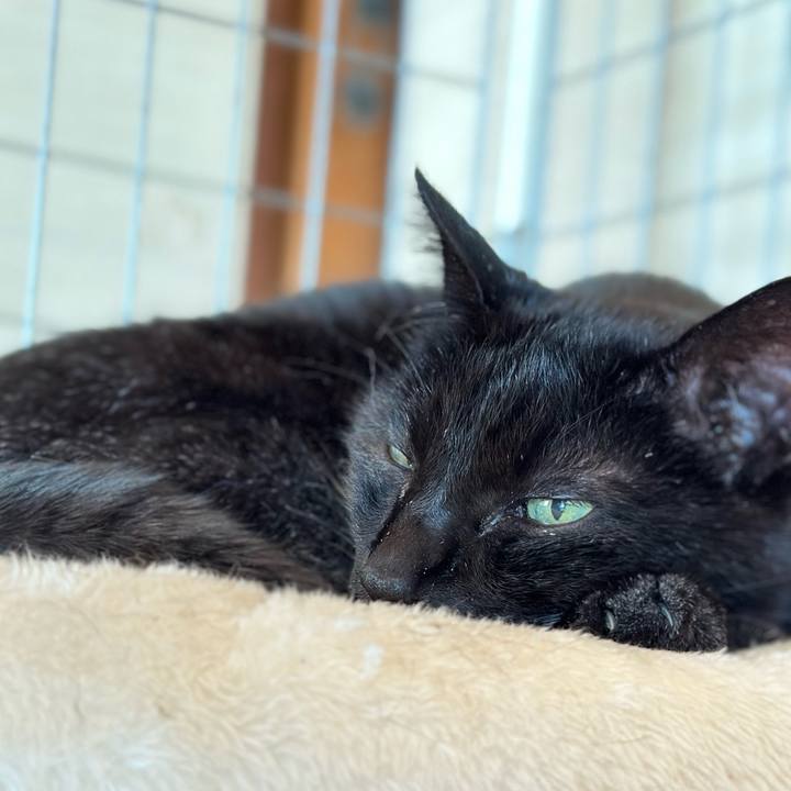 F50334be dd45 41bc b875 f20dbb7f29f5 1683252879272