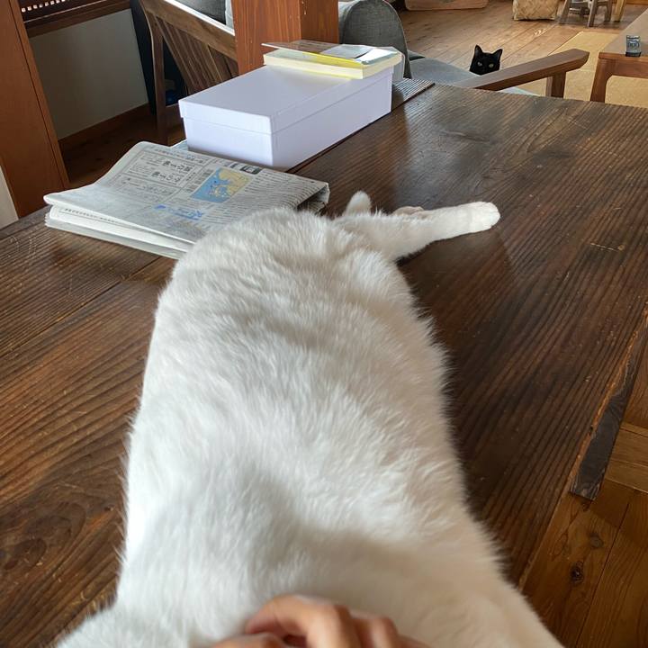 F5034506 b8ad 4b26 a9c6 5e66b7cfbf51 1589678572600