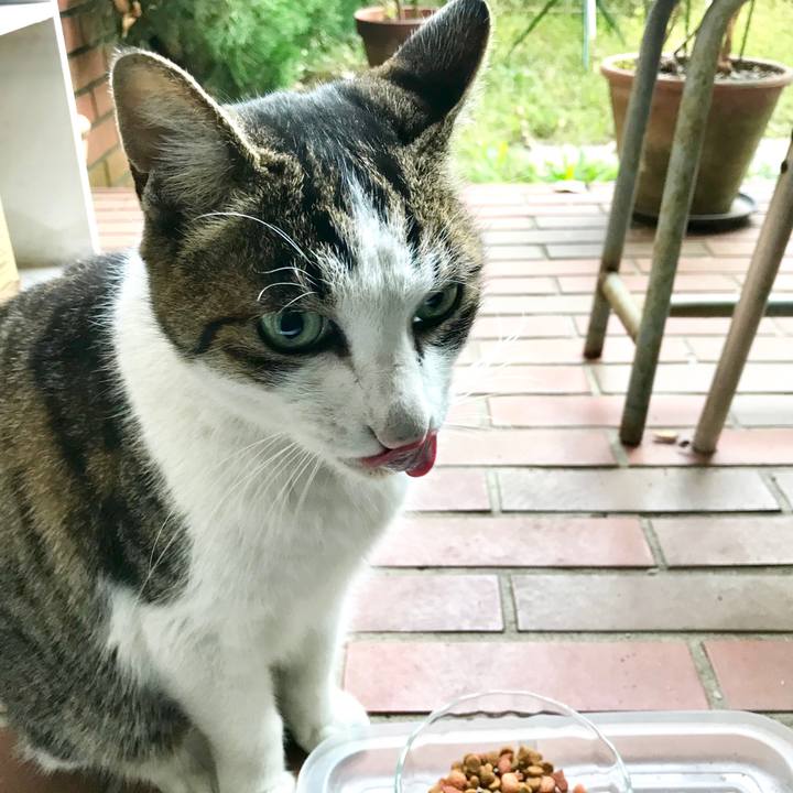 F5035b6d d0b0 4611 9c60 b39eca9b8e77 1510644204600