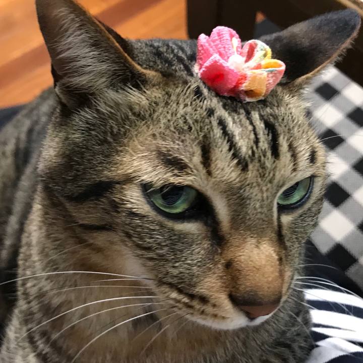 F5036485 463c 4cd7 b52a 0b42f736b7bf 1522081167490