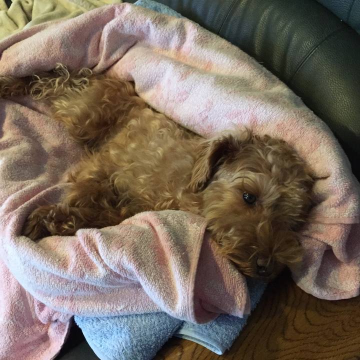 F503707b eae5 46b0 b187 e366333ca58b 1511305462467