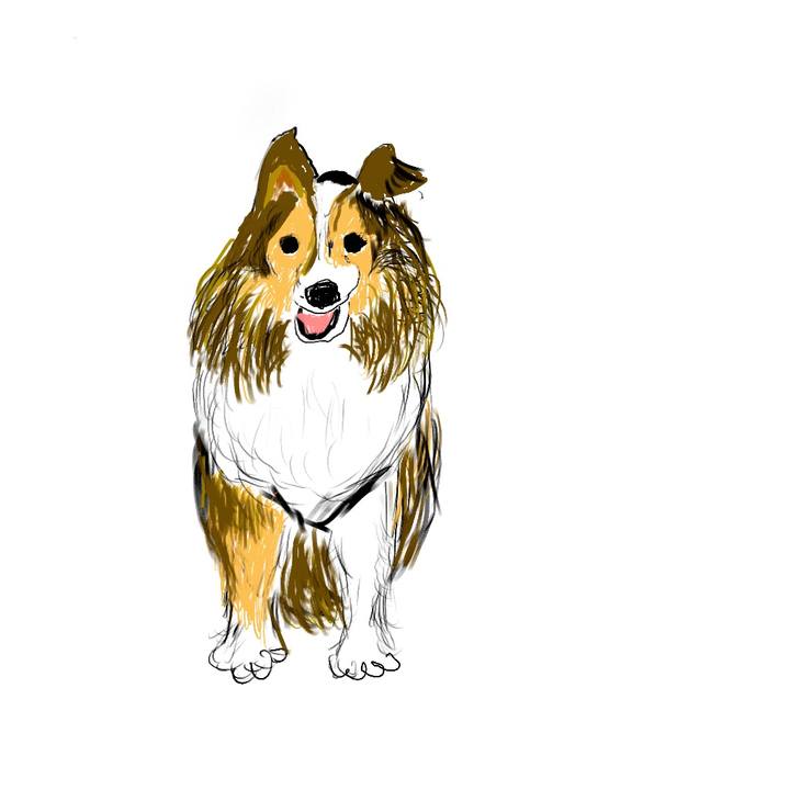 F5037e4c 791a 4da3 99c5 52c42bef6b3b 1694490671460