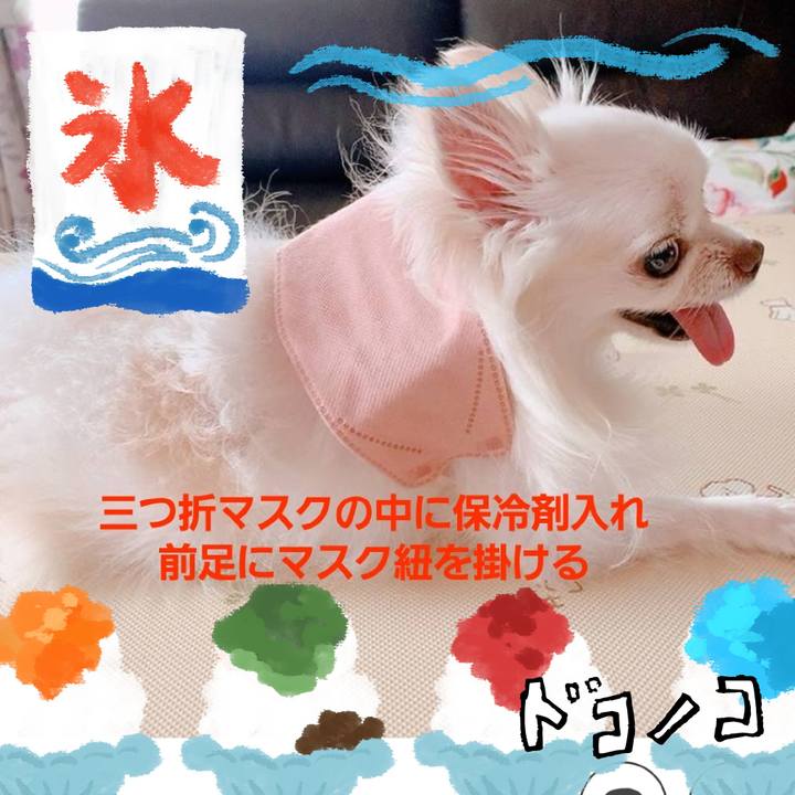 F503a487 75c7 43bc 8572 df832e76fda5 1723273819150