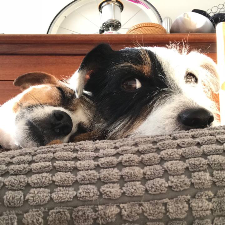 F503b425 60f9 44b4 815e e576042de284 1511323484092