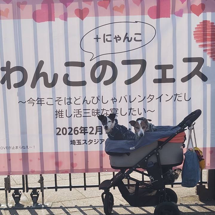 F503cf41 dec9 489d b326 77894eebb097 1771126525574