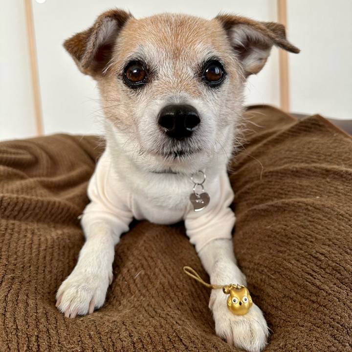 F503f3bf 577b 42cf 8e95 fb25f3a374f0 1675489245911