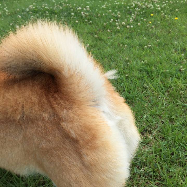 F5040047 a9b7 48ff 8050 4c9bbf424223 1561465868937