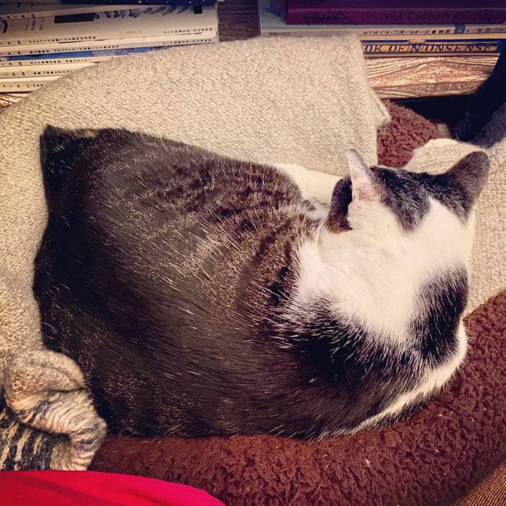 F5042451 81a2 4e6e a3d3 ed7ec957e859 1578488313751