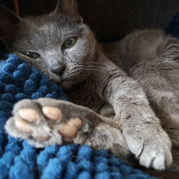 F5044197 c511 4771 9307 8487088a13af 1684656421639