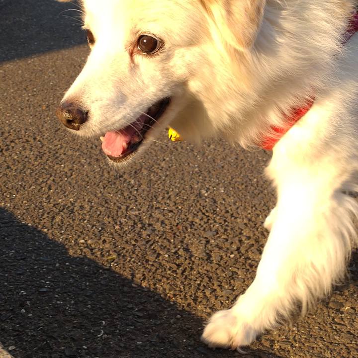 F5045273 5ab5 408c 9c7b e288a466c85f 1646616399340