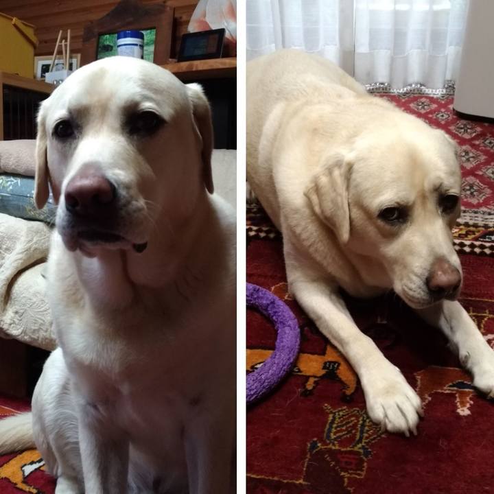 F50459e4 8001 4f02 8ce3 e96d4c7d3411 1634874911489