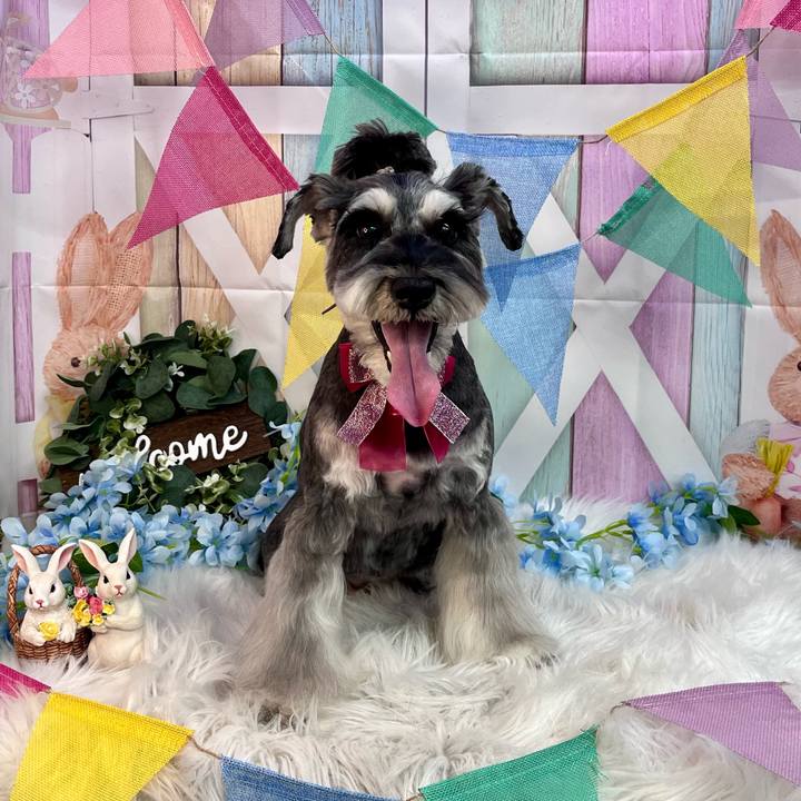 F5046342 cfa8 4de0 b281 4343ed37dce9 1742132784116