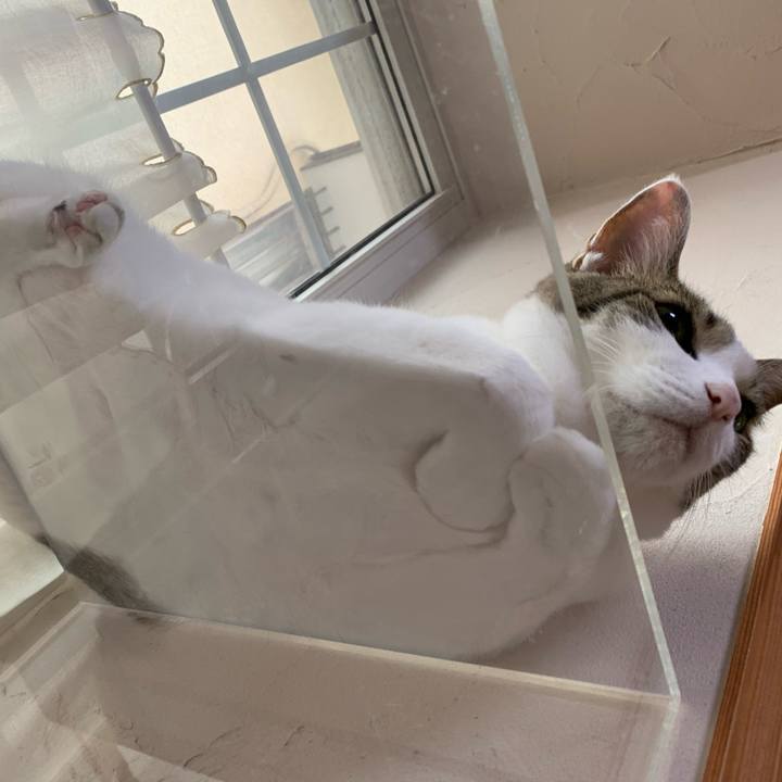 F5047ecb 1f36 4b32 a20e b3eb22c3ed14 1632783517005