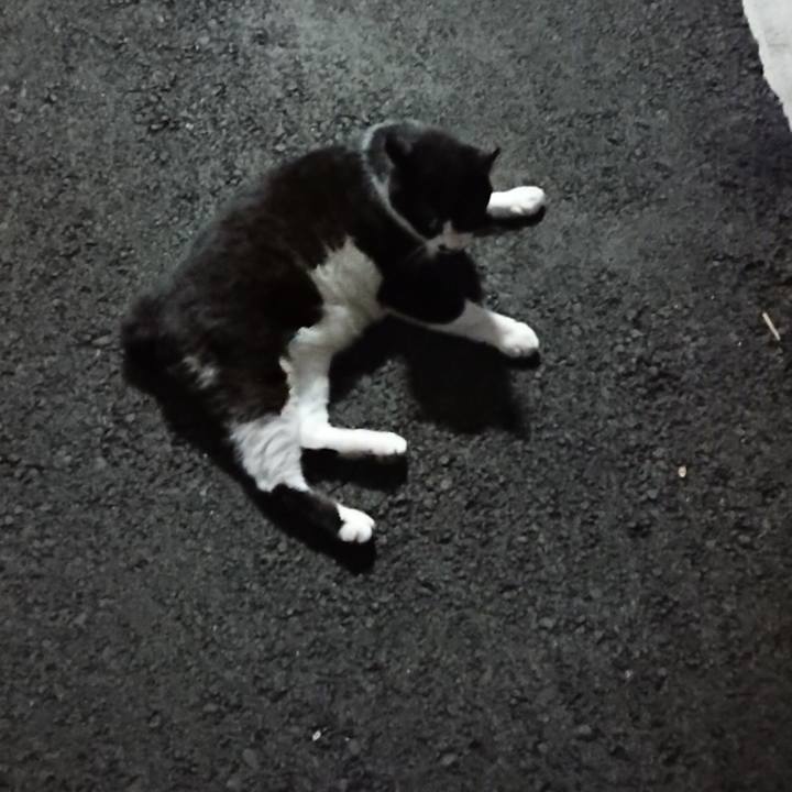 F5047fed 7b76 4497 9d96 97fb9175bc16 1691408551314