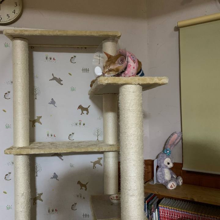 F50480ab e50a 4860 85e2 fd367571516e 1630498151958