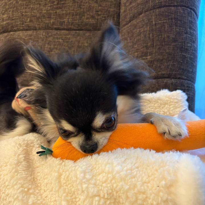 F5049d7d aa7a 4f74 9f7b ed5f01284ee2 1735491022259