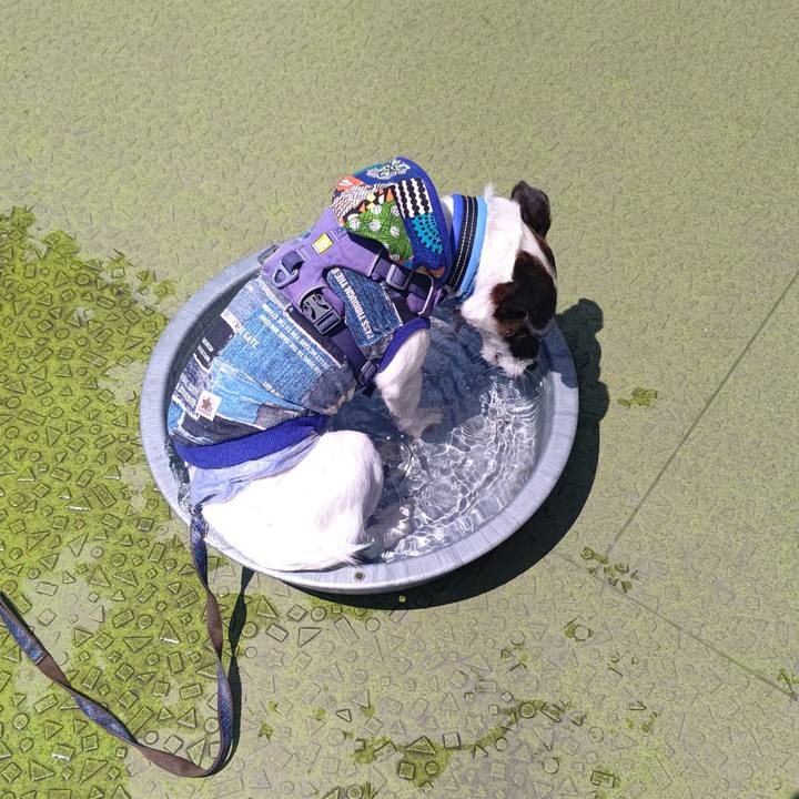 F504b688 0bbb 48fa 83ab 824870f47c52 1684228741619