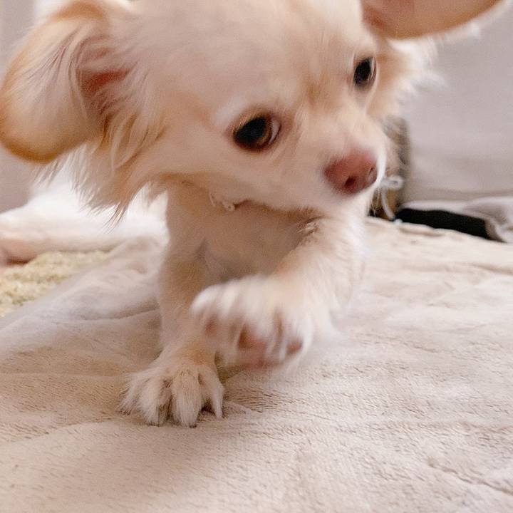 F504b9ab 6cc3 4b4d 919a a4ff5ac62eea 1619185127394