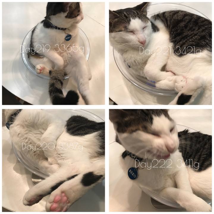 F504c0b2 bf3b 4cf1 ad96 443c1527f418 1511417268349