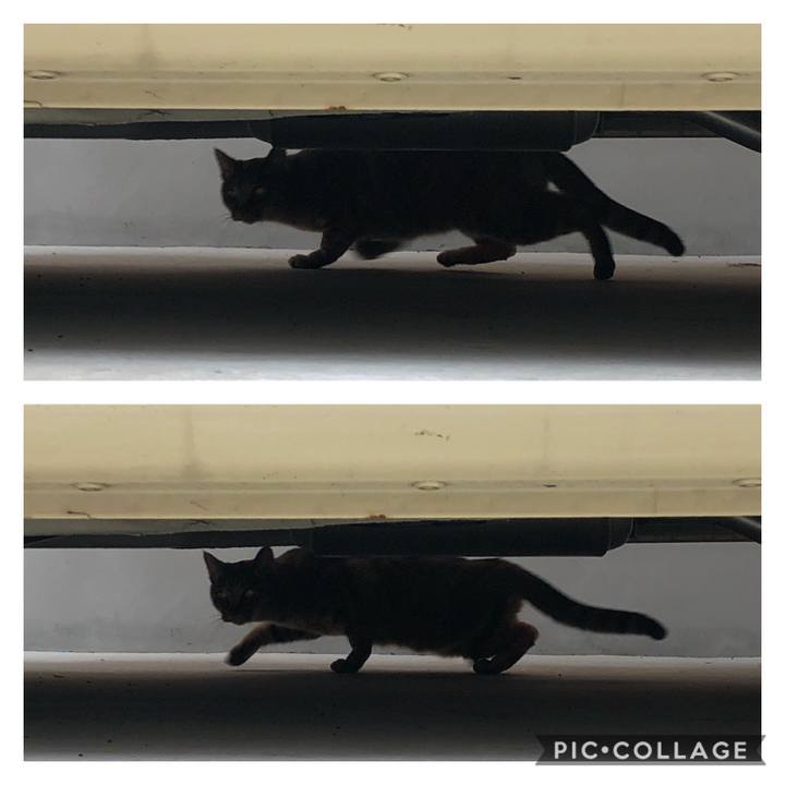 F504f92b 093c 431f 99cf f39cde9b5972 1607438038568