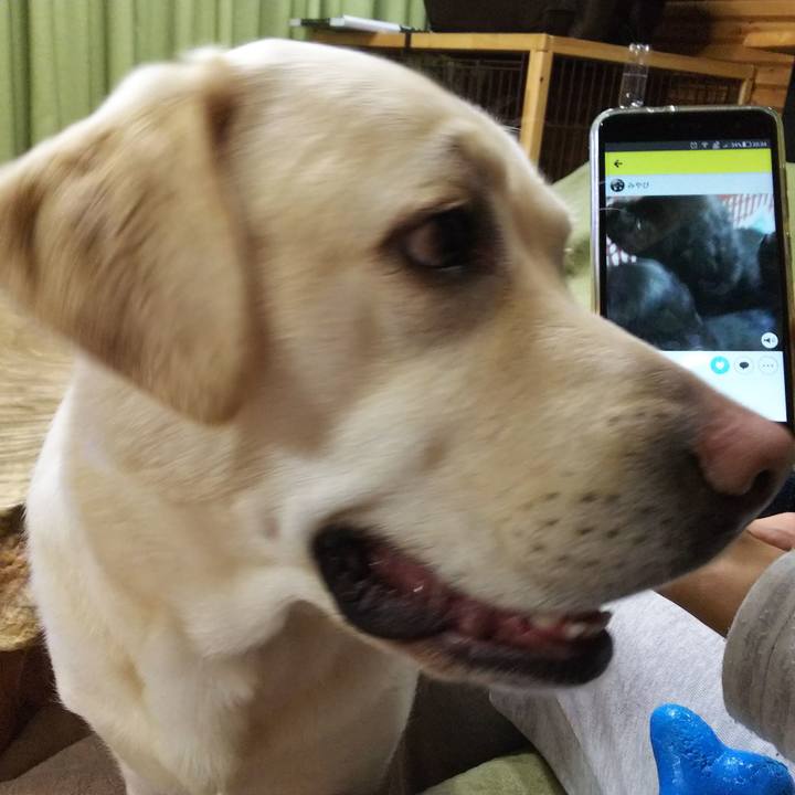 F5052351 252c 42da b349 4ec984e0441d 1547552907929