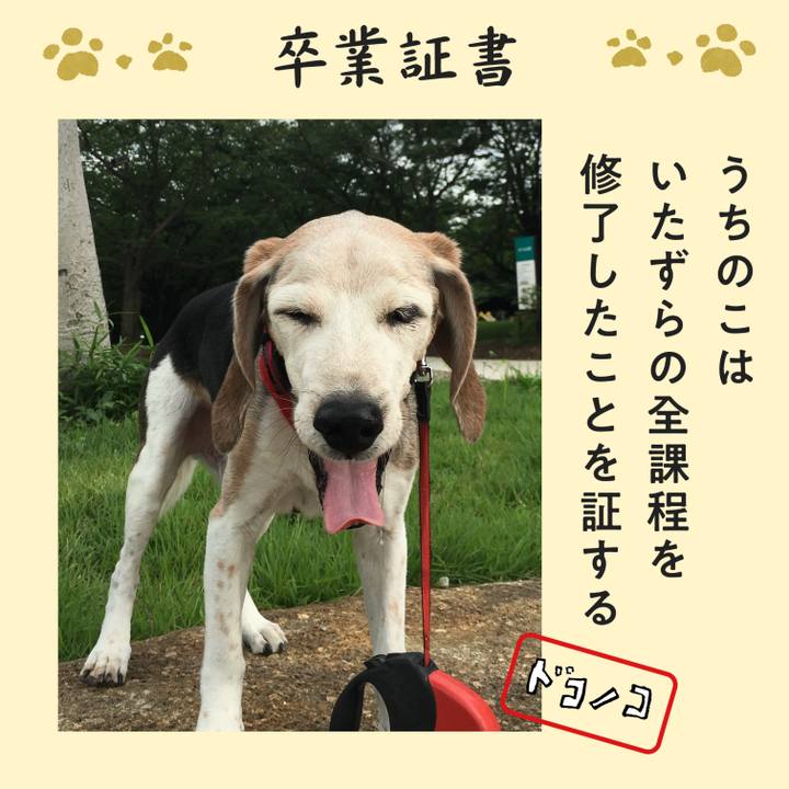 F5053d29 641b 45a0 b74d a4ddb7044f34 1771928325581