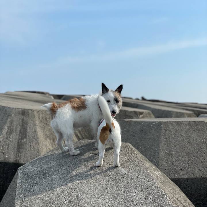 F50559f4 f68d 47d7 bbf9 3ca882db0cd1 1622677591951