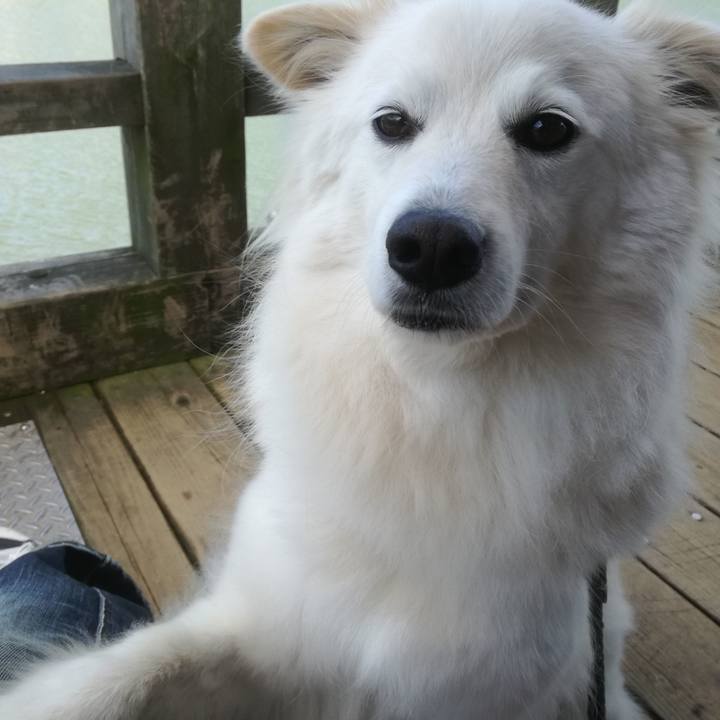 F505a8cf 0154 454c b35b c597a40ca151 1526696749553