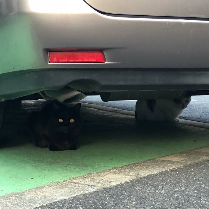 F505c1fc 7267 4c8d 8064 ae7b940f3333 1527860182142