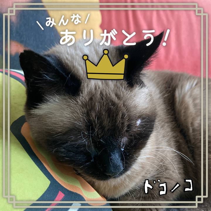 F505cc3e ff88 4101 bf5d 616fdcfbed0b 1622853975718