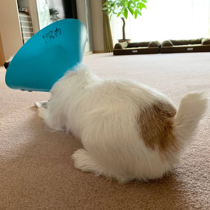 F505e71e b450 4efc a37b 99341b021779 1569975378899