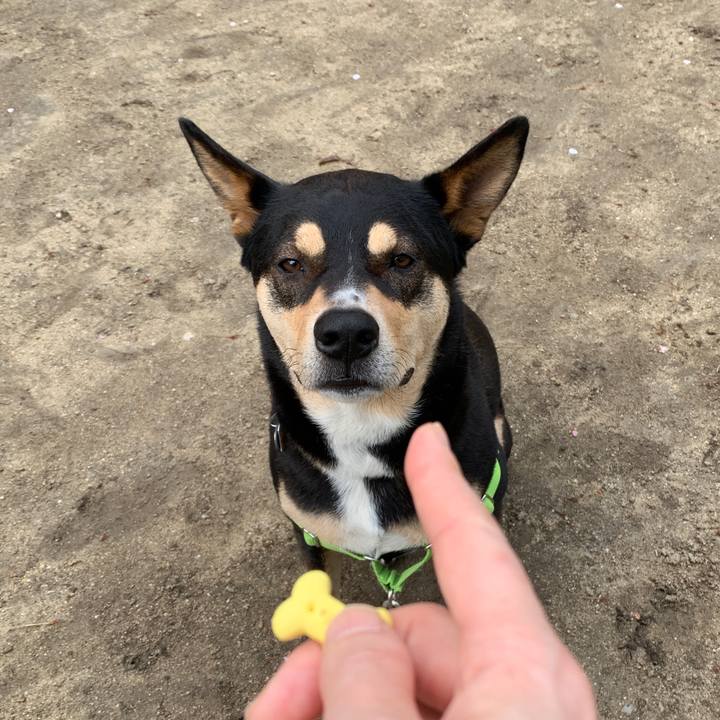 F5061481 beaa 4626 bd66 29b00bdab187 1588221757211