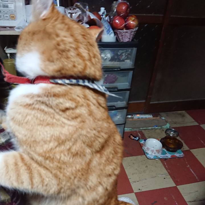 F5065687 db3d 44c1 ab8e f916012bb224 1574820684073