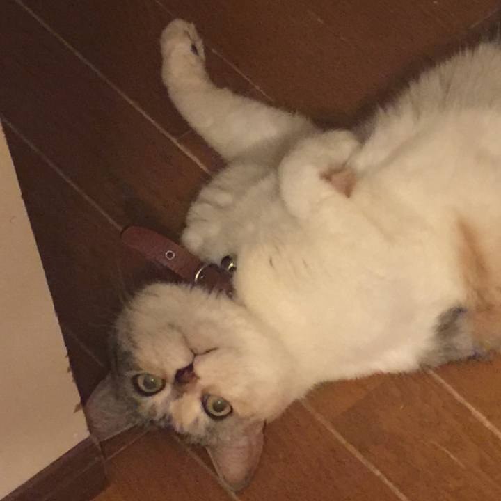 F5067dce 0004 48cb 8219 64e5c85f64b3 1559826269256