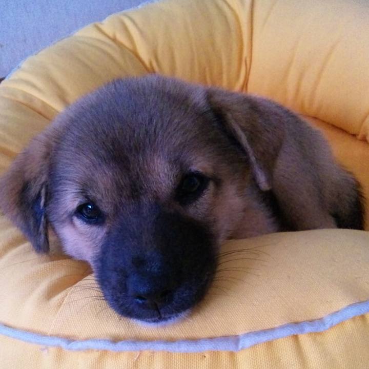 F5068db8 661c 4a03 8002 7c2c0f1fc58e 1601890302919