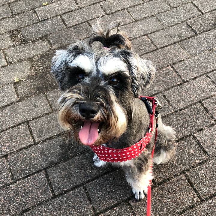 F506b0b7 4fba 49b7 b00e a486df5878a5 1561726616246