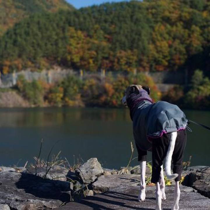 F506b433 a548 45a8 b7ac 969abe9266dc 1511017386318