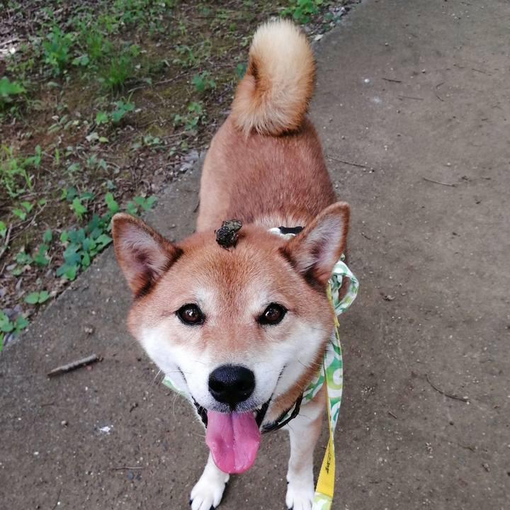 F506f40b b18b 4d4c 8b5f dc7bc1c93f13 1596797373870