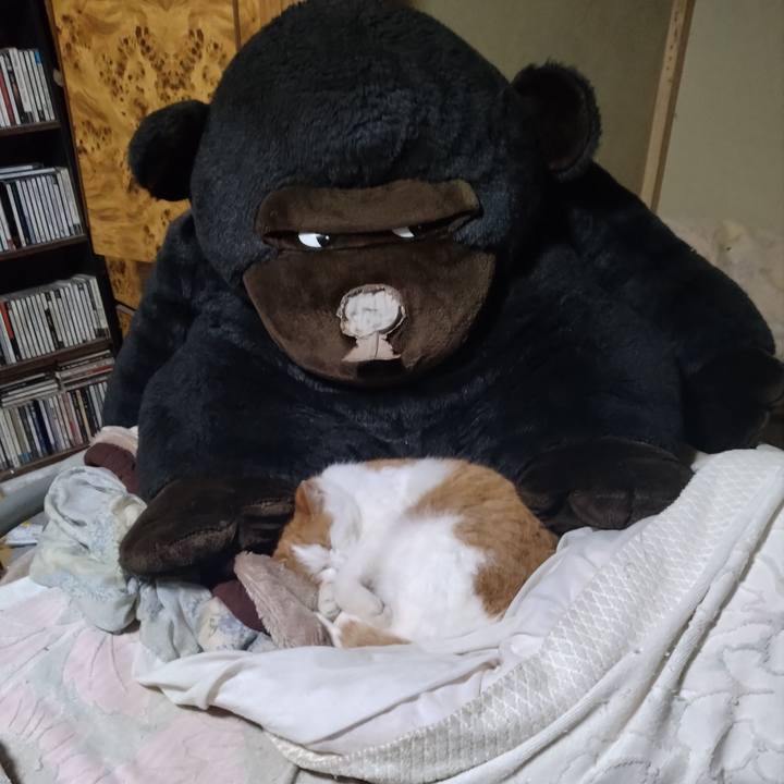 F5074001 331e 4024 ab31 85bc930375a9 1767009388522