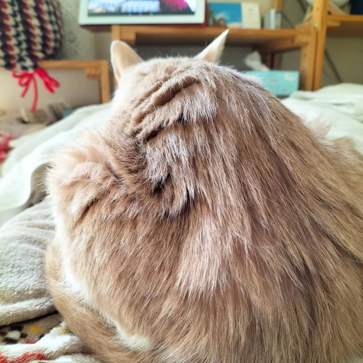 F507516d ab47 4028 aebd 8953803c97ec 1672528426821